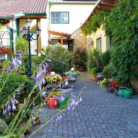 Ferienwohnung Koppi 팜하겐 외부 사진