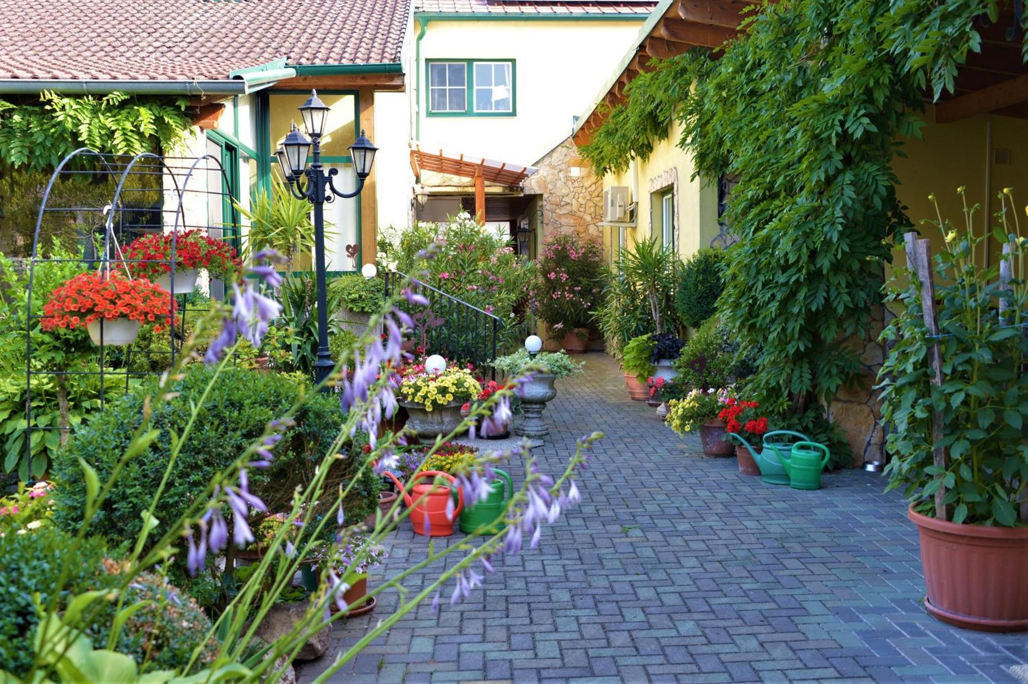 Ferienwohnung Koppi 팜하겐 외부 사진