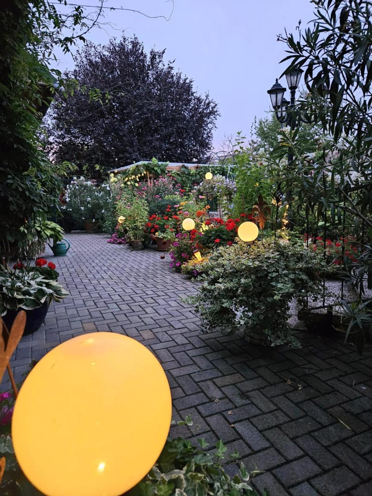 Ferienwohnung Koppi 팜하겐 외부 사진