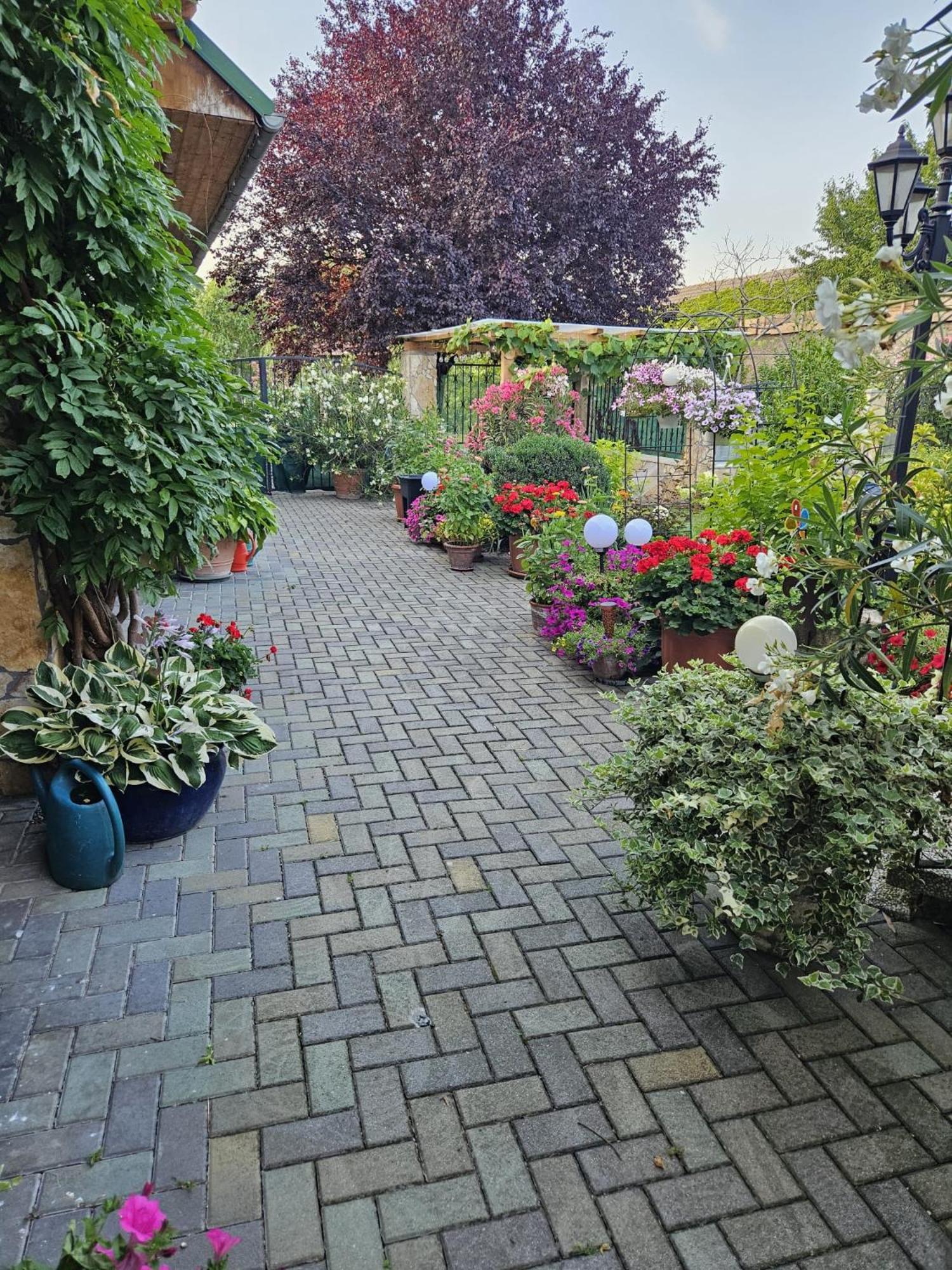 Ferienwohnung Koppi 팜하겐 외부 사진